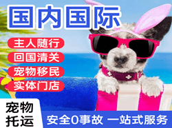 敦煌机场托运国际宠物托运 【国